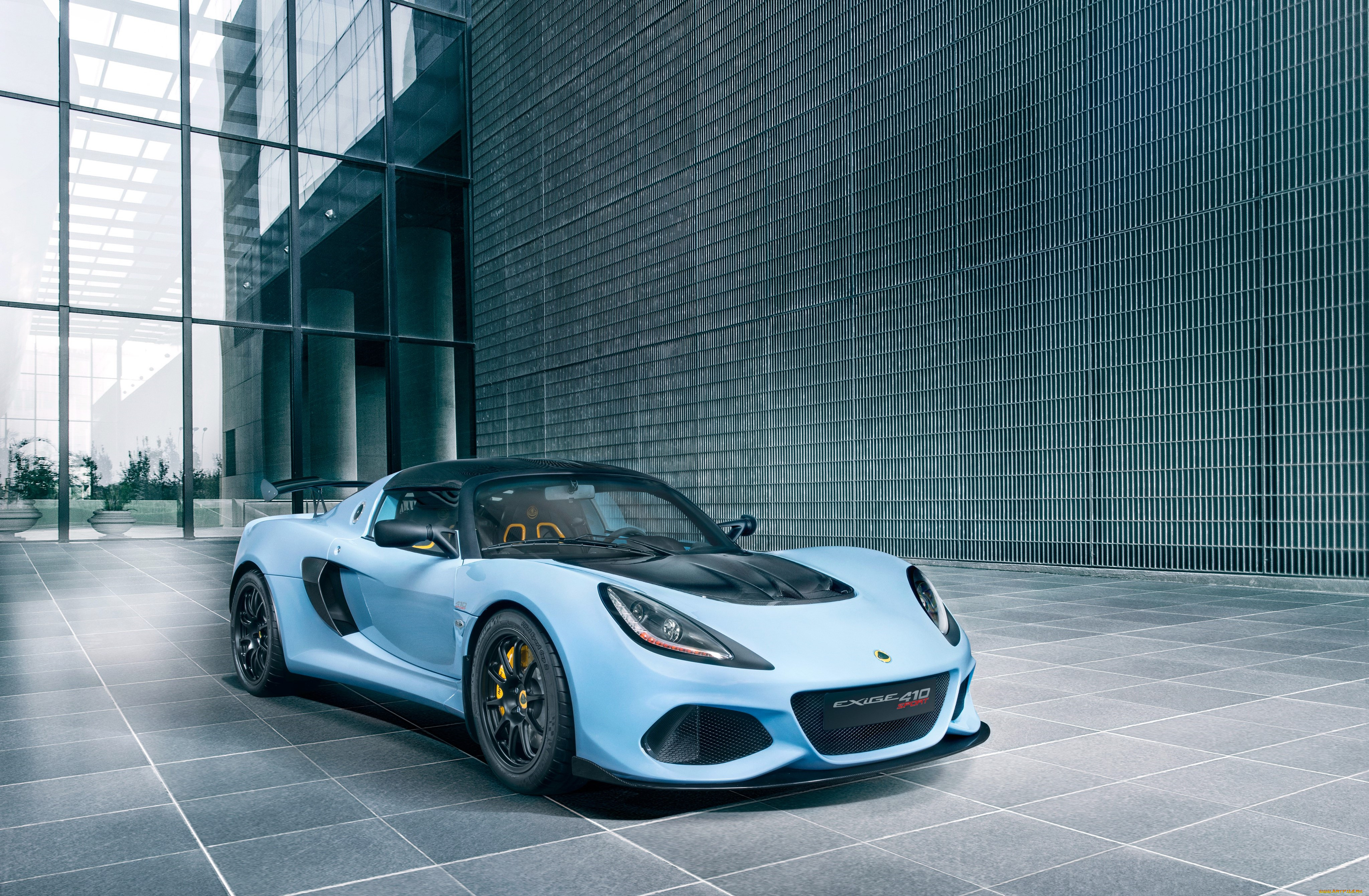 , lotus